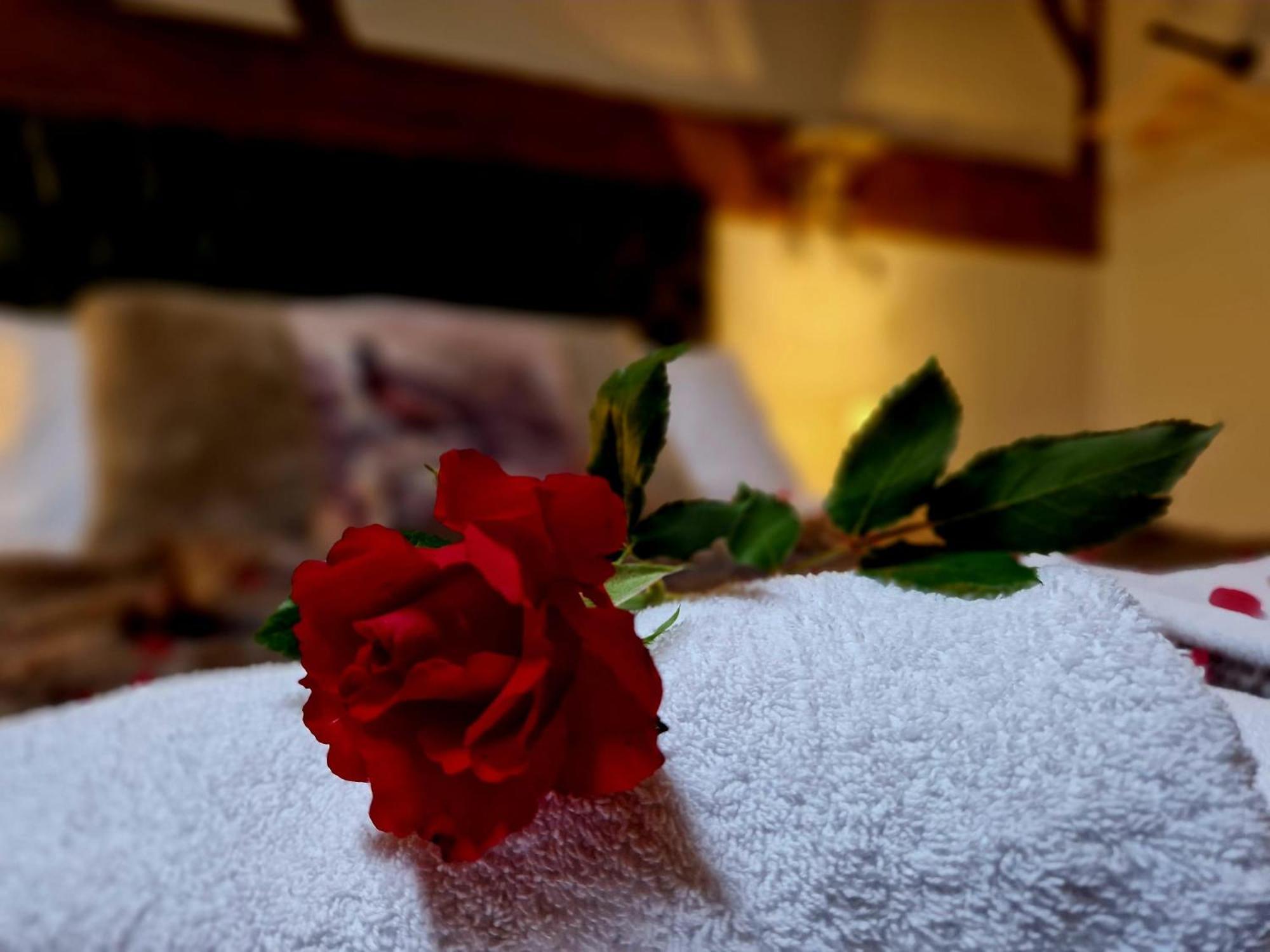 The Hamilton Luxury Let's- The Coach House With Hot Tub * Scorton (Lancashire)